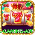 333m Royal Gaming App