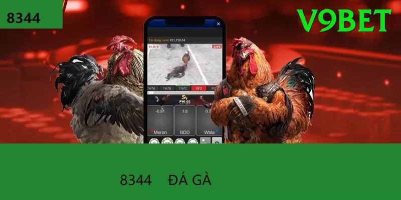 Đá Gà Trực Tiếp - v9bet - Dành cho điện thoại cấu hình thấp